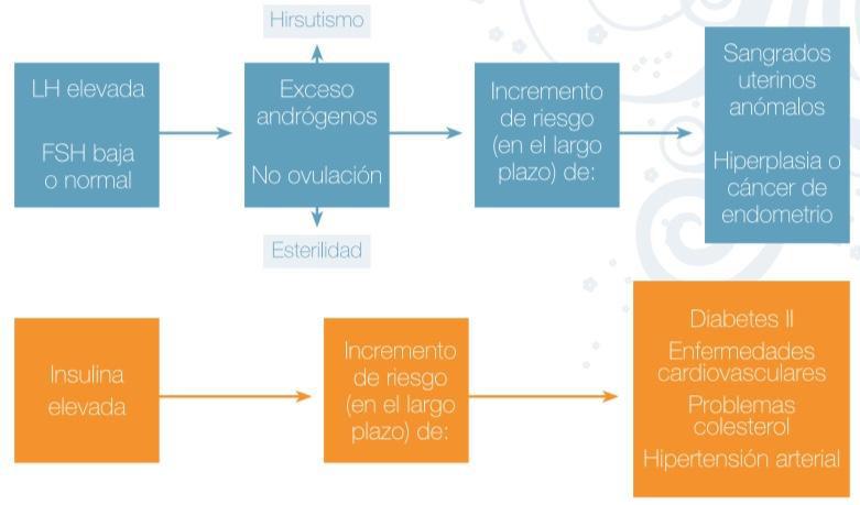 Gráfico de Relación de Secuencia