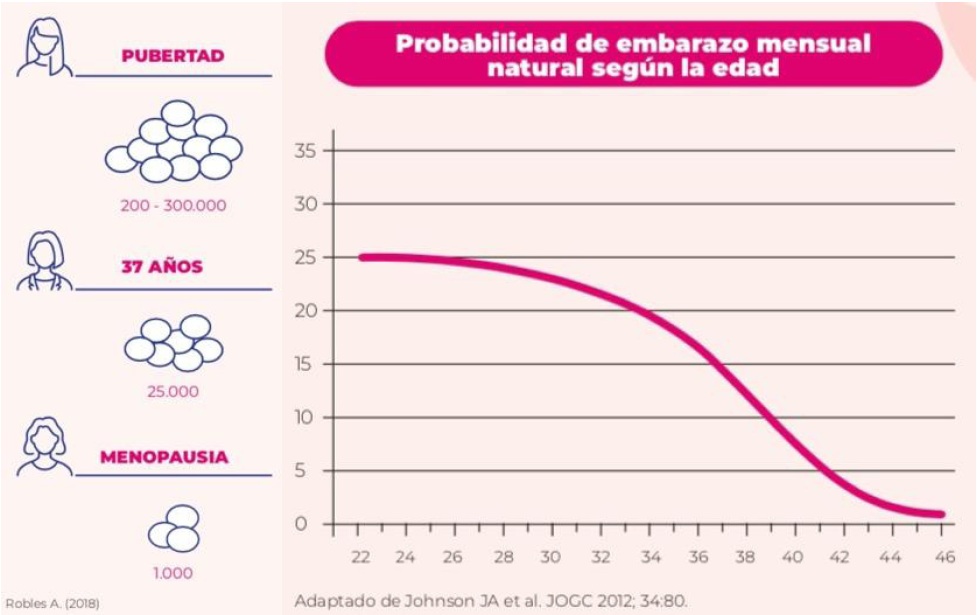 Diagrama reserva ovárica por franjas etarias y probabilidad de embarazo