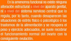 Texto Descripción generada automáticamente