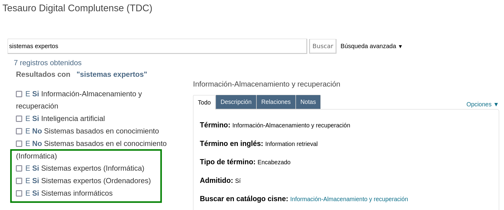 Se ve señalado el término “sistemas expertos” duplicado con dos calificadores entre paréntesis diferentes